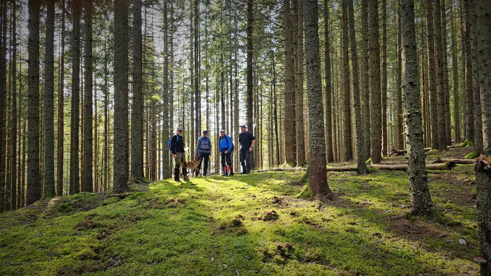 Mennesker på tur i grønn og tett skog