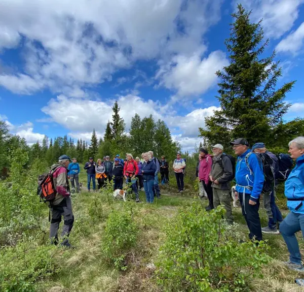 Folk på tur i skogen