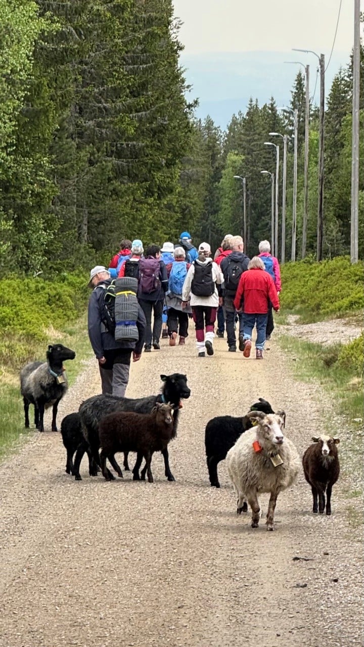 Onsdagsgruppa ved Lager&aring;kvisla