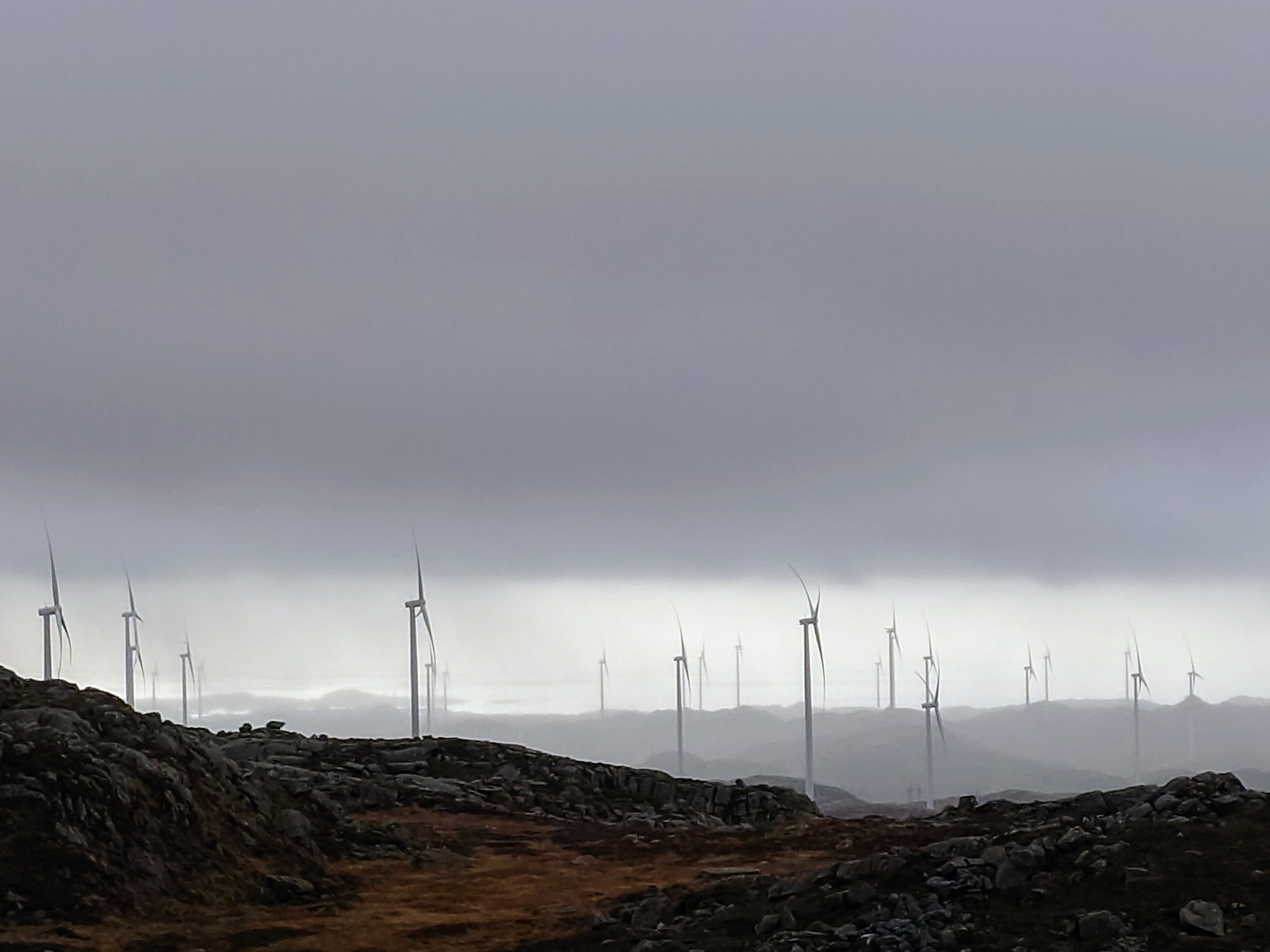 Motiv av et landskap som er dekket av vindkraft.