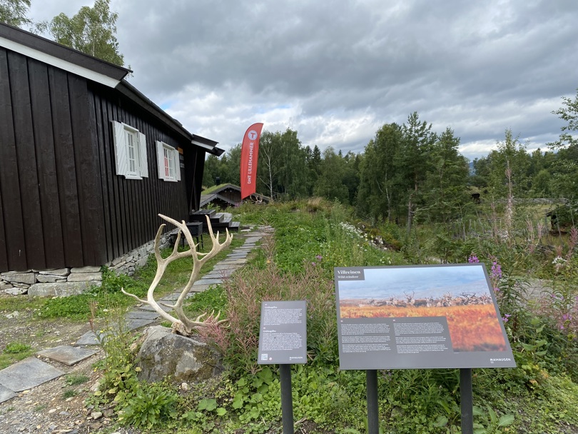 Klar for barnas sommerdag