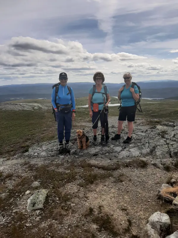 Rauddalsfjellet