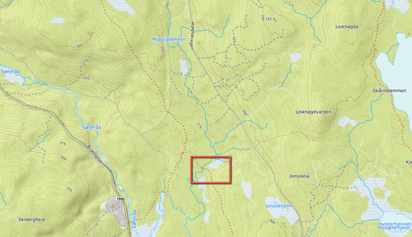 Mjøgsjøbrua