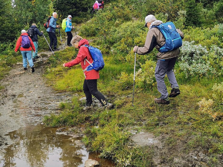 Onsdagsgruppa på tur.
