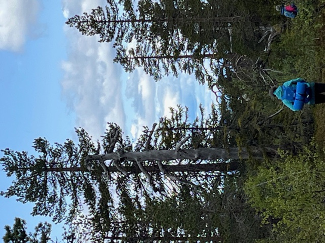 På tur i skogsterreng.