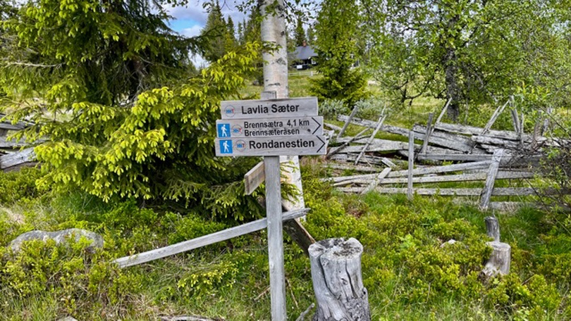 Skilt