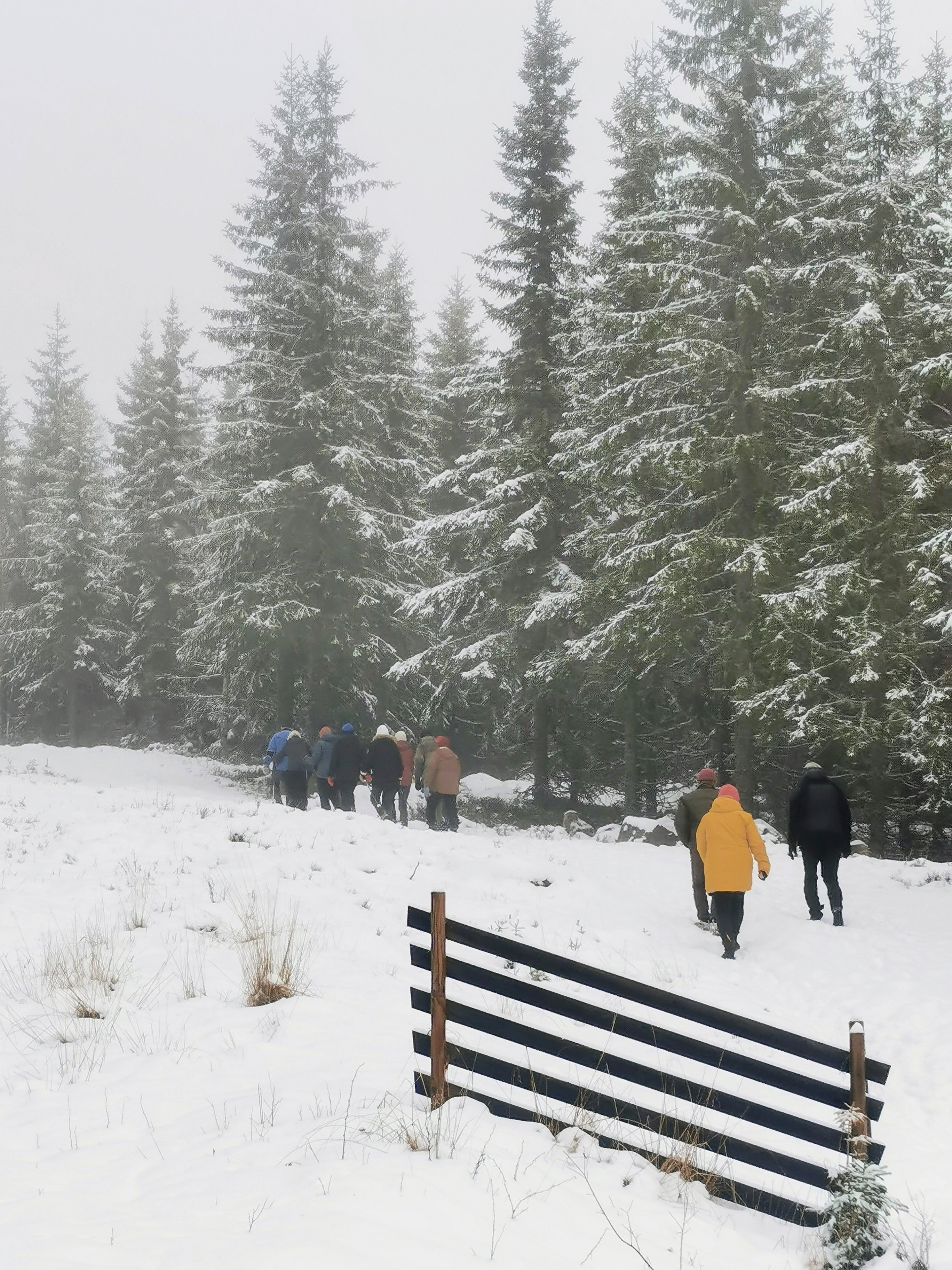 Ved parkeringsplassen ved Vollkoia