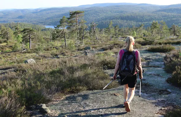 Drivheiløypa ved Kleivvann i Gjerstad.