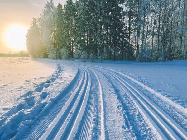 Doble skispor på et jorde ved skogkanten