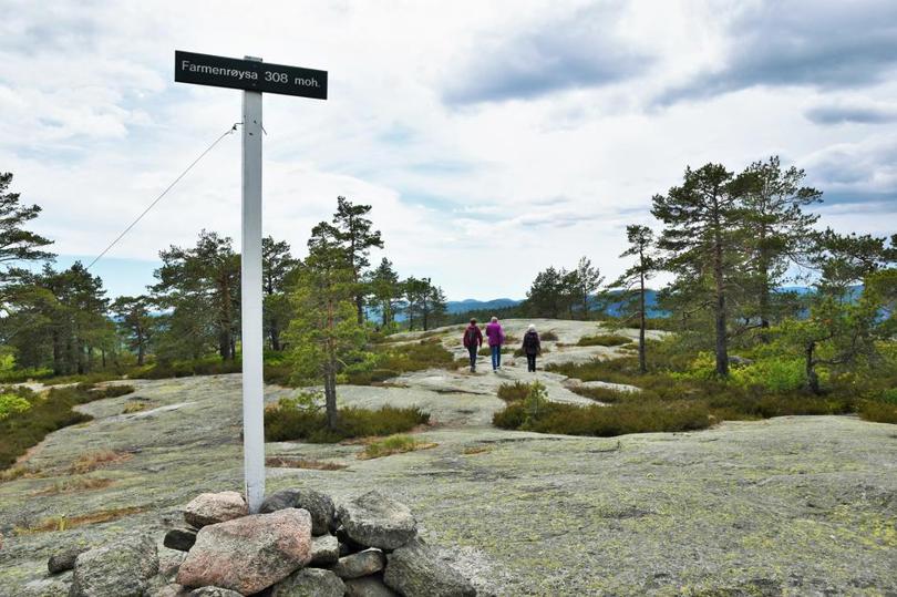 Tre mennesker som går i skogsområde.