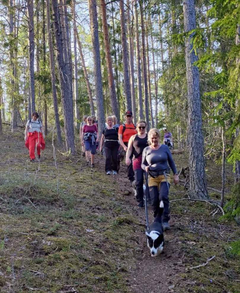 På tur gjennom skogen