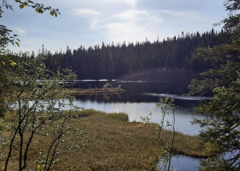 Store Bergsvatnet