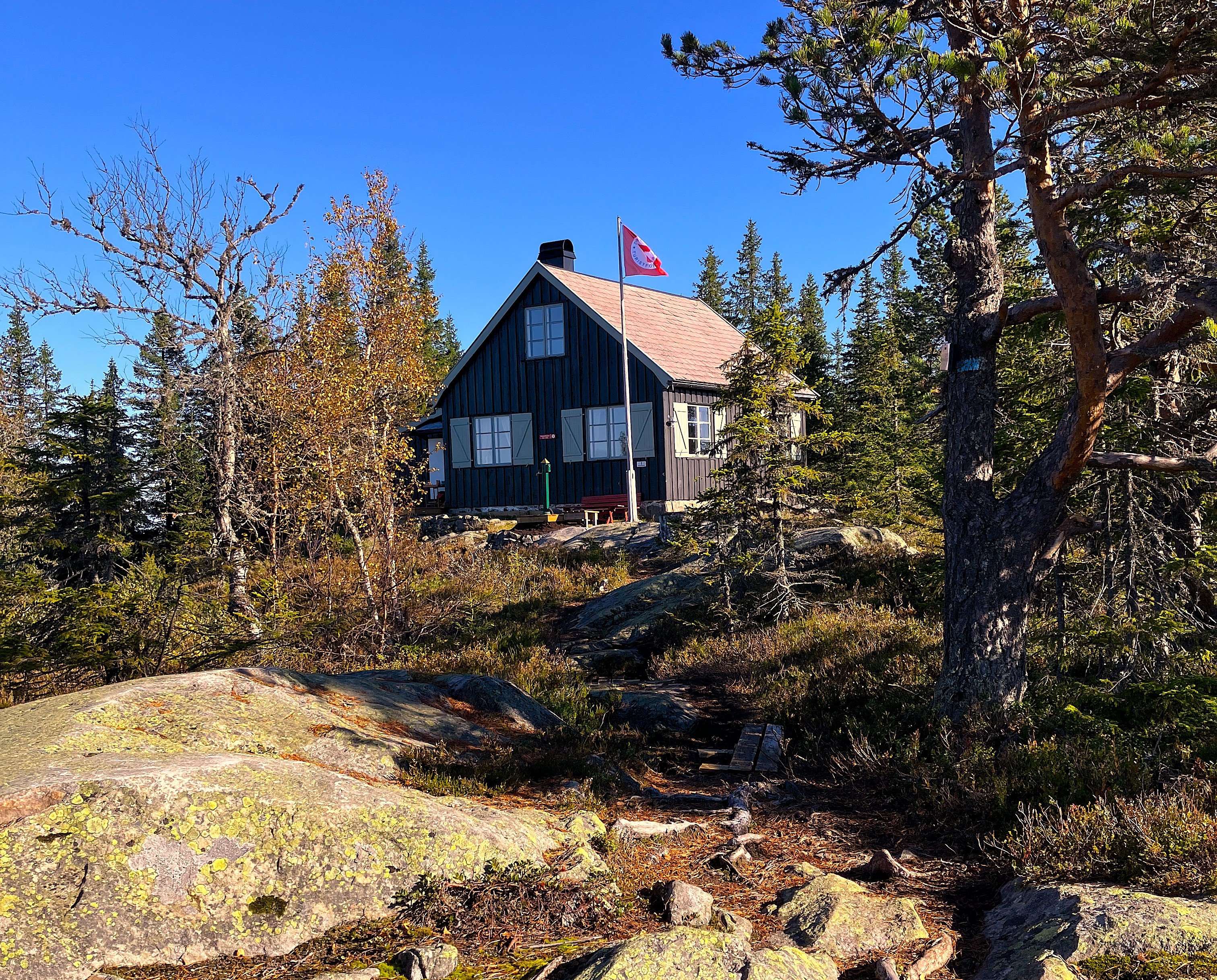 Ringkolltoppen 1