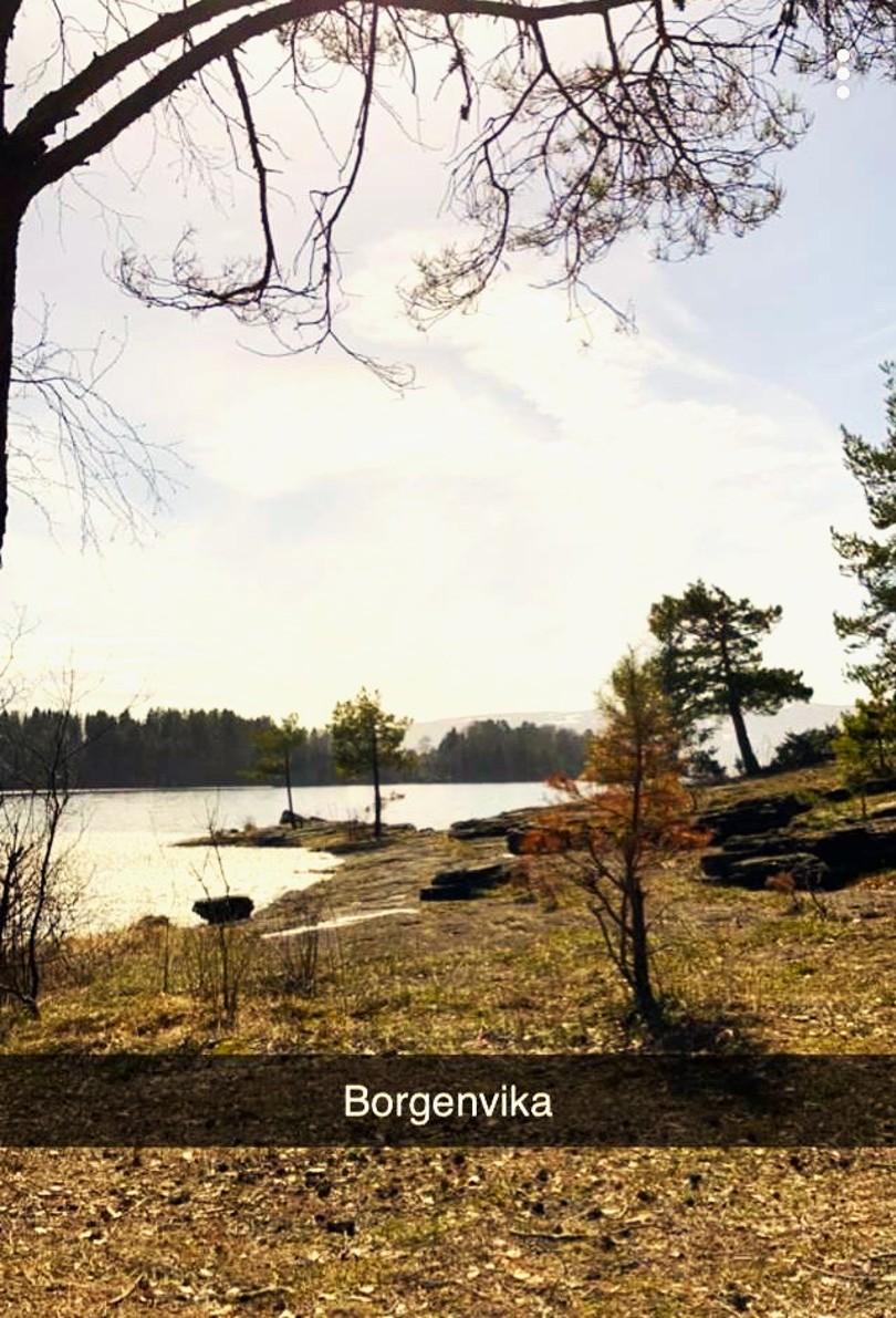 Borgenvika