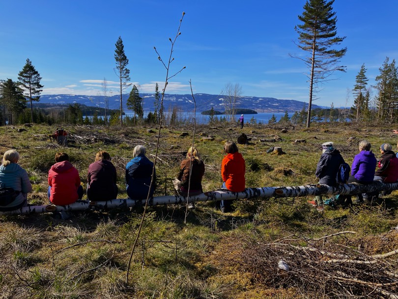 Flott utsikt mot Breiliflaka