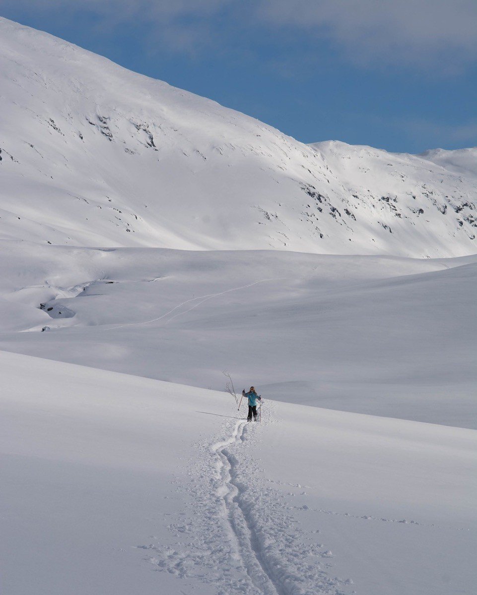 Et snøkledt fjellandskap. En enslig skigåer midt på bildet, og et enkelt skispor.