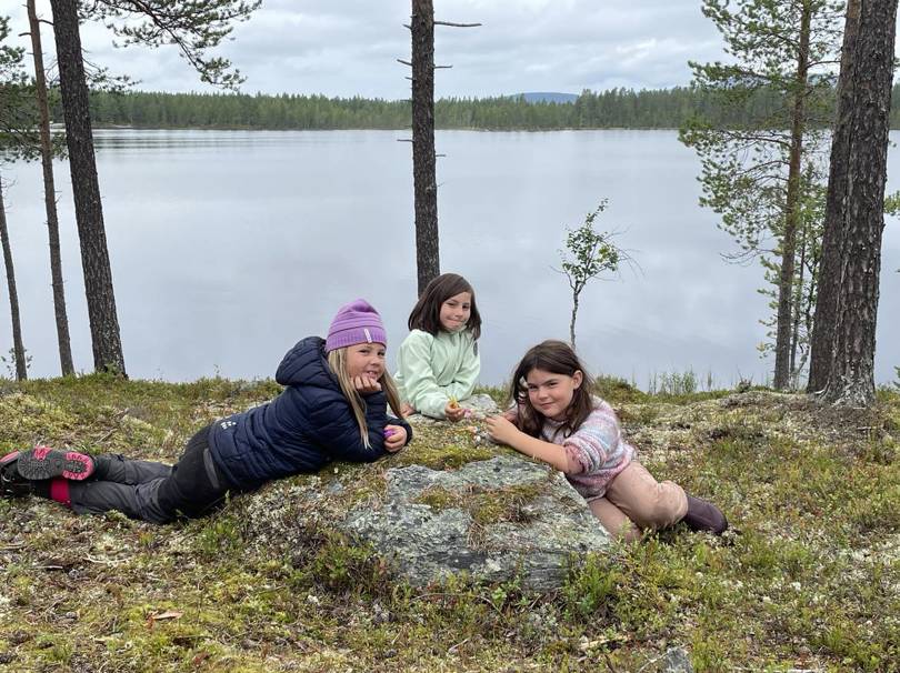 Jyltingmarka gir glade turbarn
