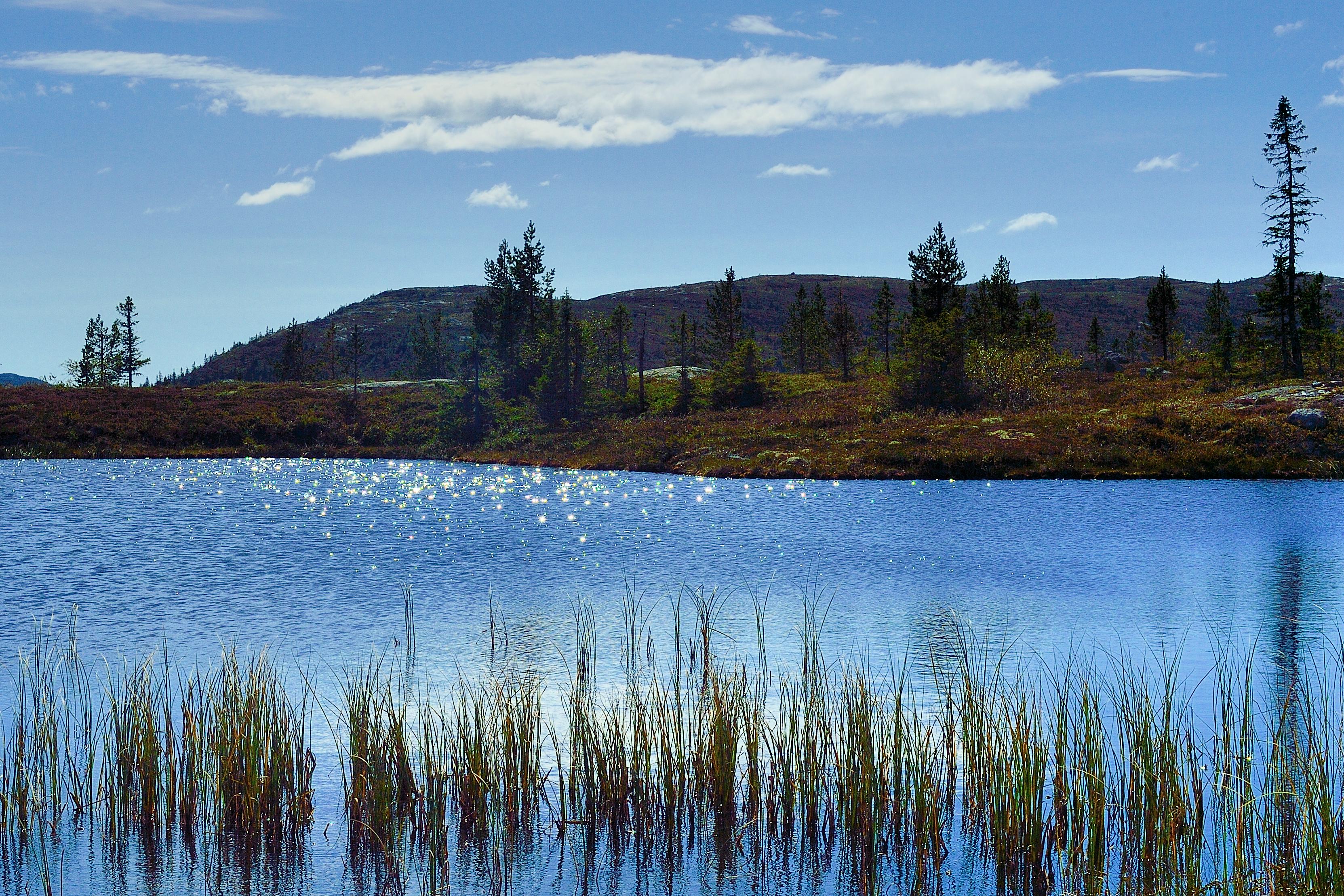 Glitter i vannet