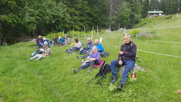 Rast ved Finnerudsetra