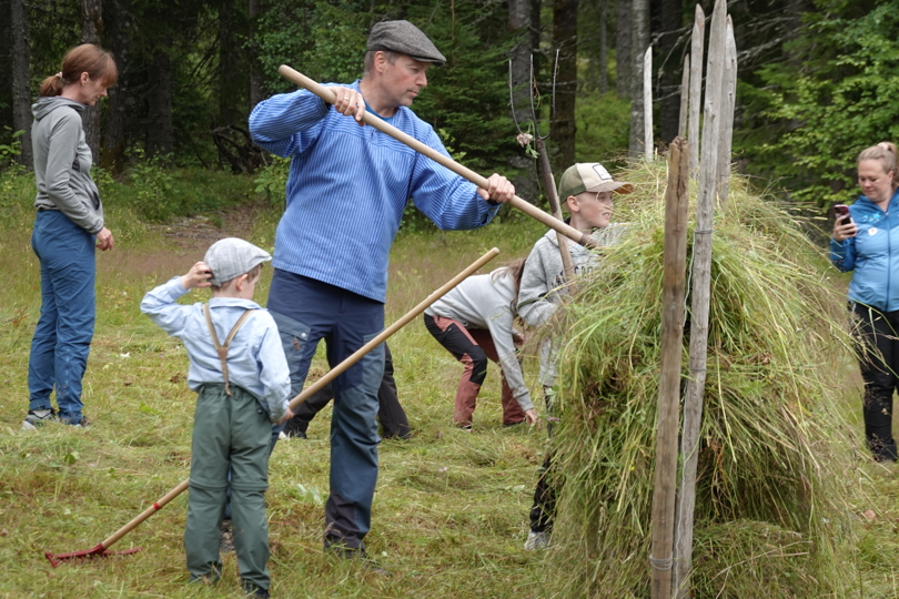 Slåttonn på gamlemåten i tidsriktige klær, foto @tosprelske