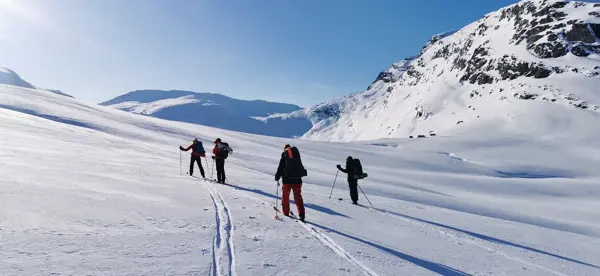 Fire personer på ski i åpent fjellandskap
