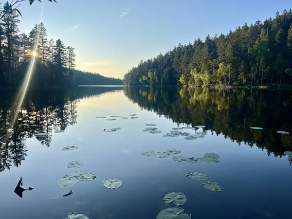 Mjøvannet
