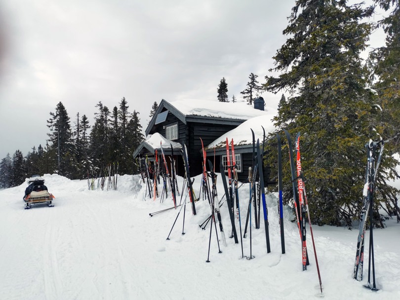 Mange skipar utenfor koia
