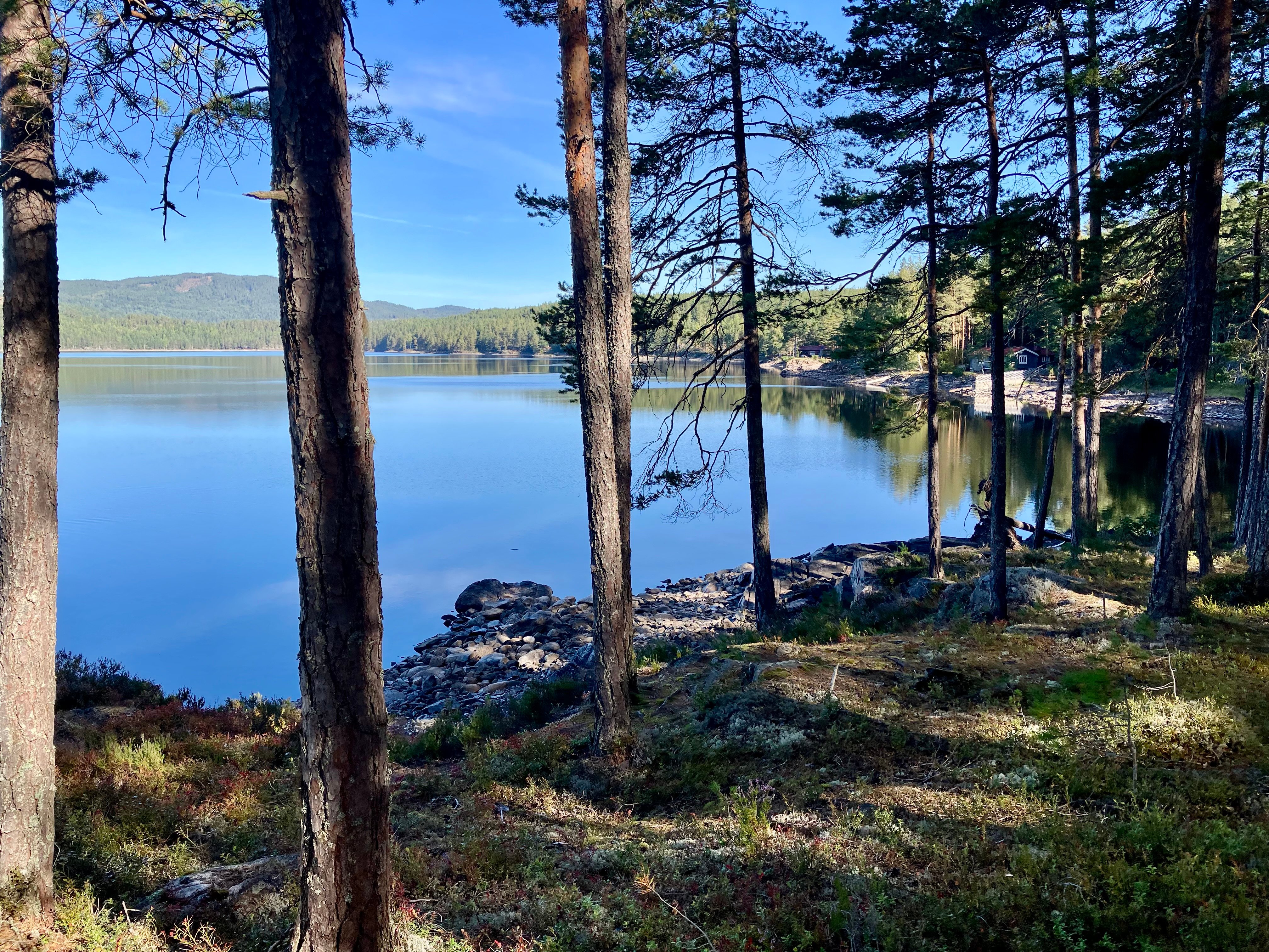 V&aelig;leren