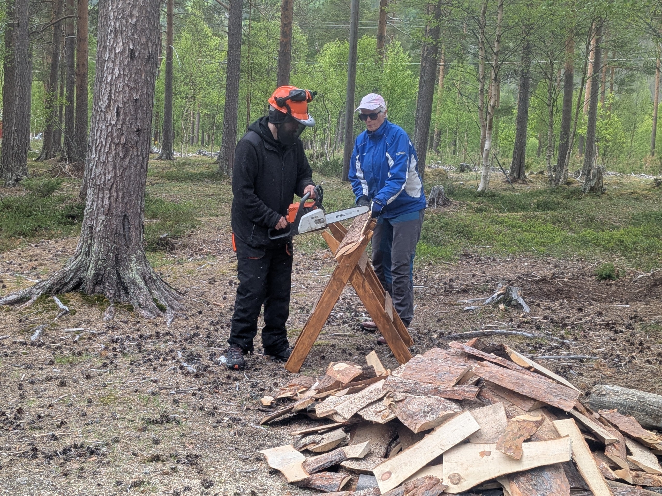 To personer sager ved i skogen.