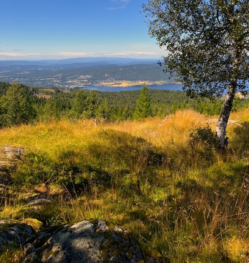 Lamannshaugen