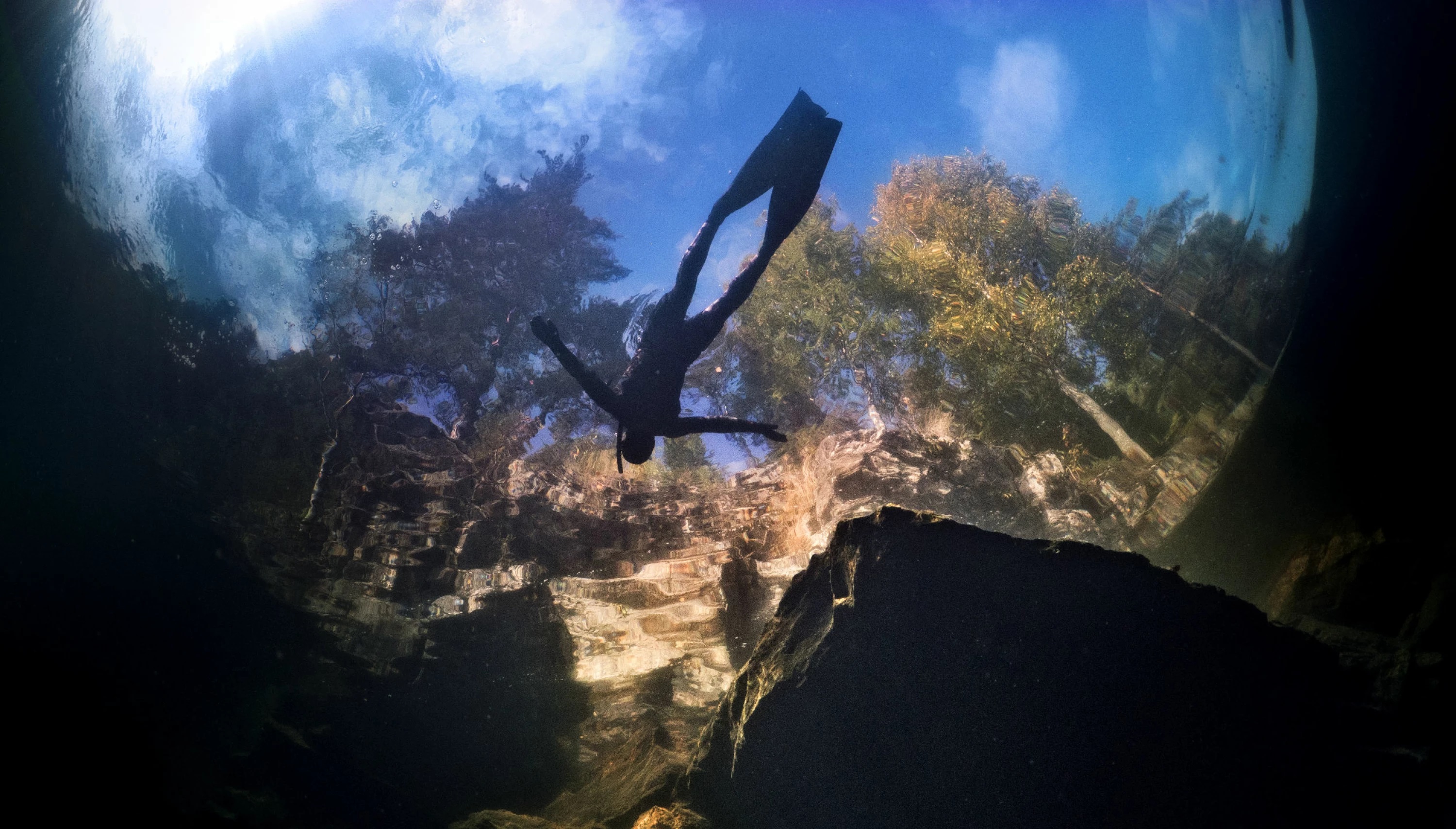 Froskeperspektiv under vann av en person som dykker. Over dykkeren og vannoverflaten skimtes trær og himmel.