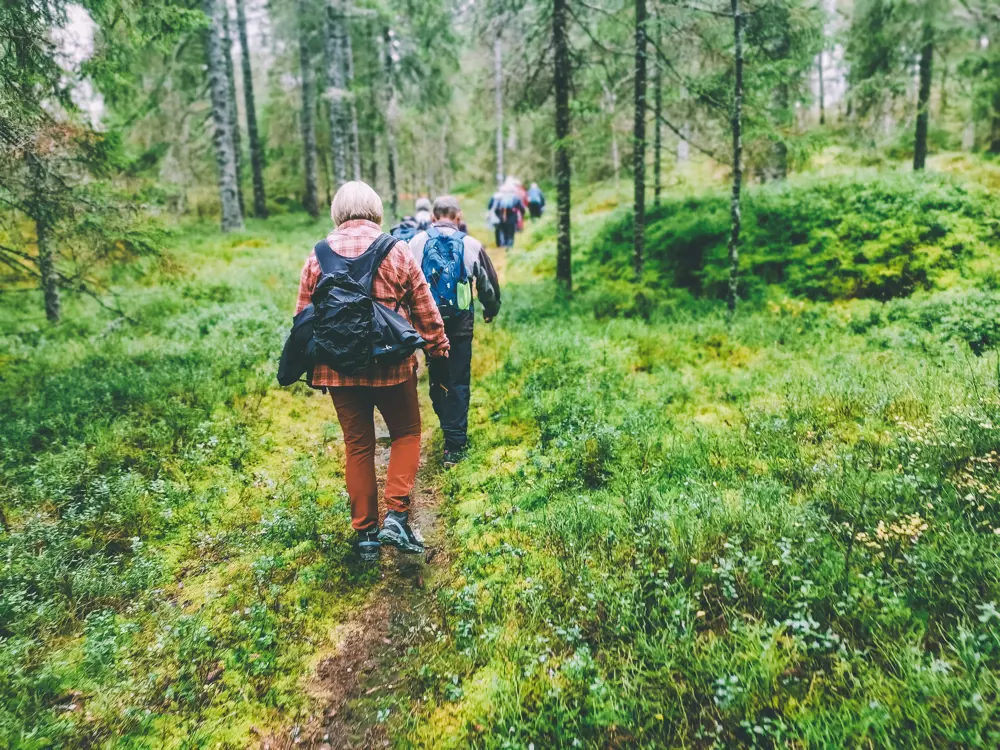 En turgruppe som går på sti innover i skogen.