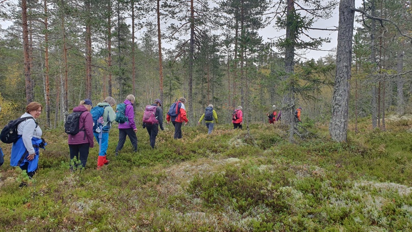 På vei innover