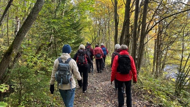 Gruppe på tur i skogen
