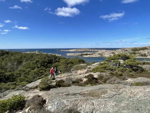 En gruppe som går på tur ved kysten. Foto.