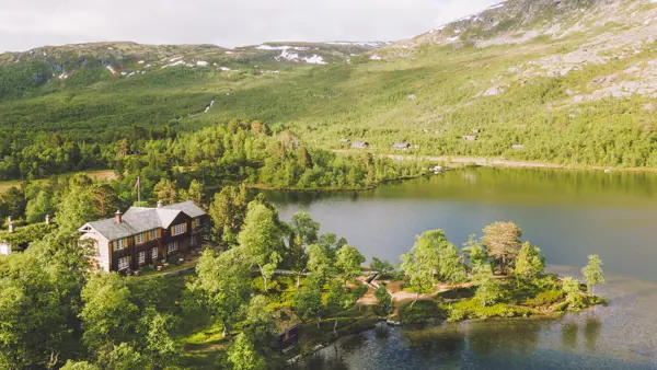 Vangshaugen fra lufta 