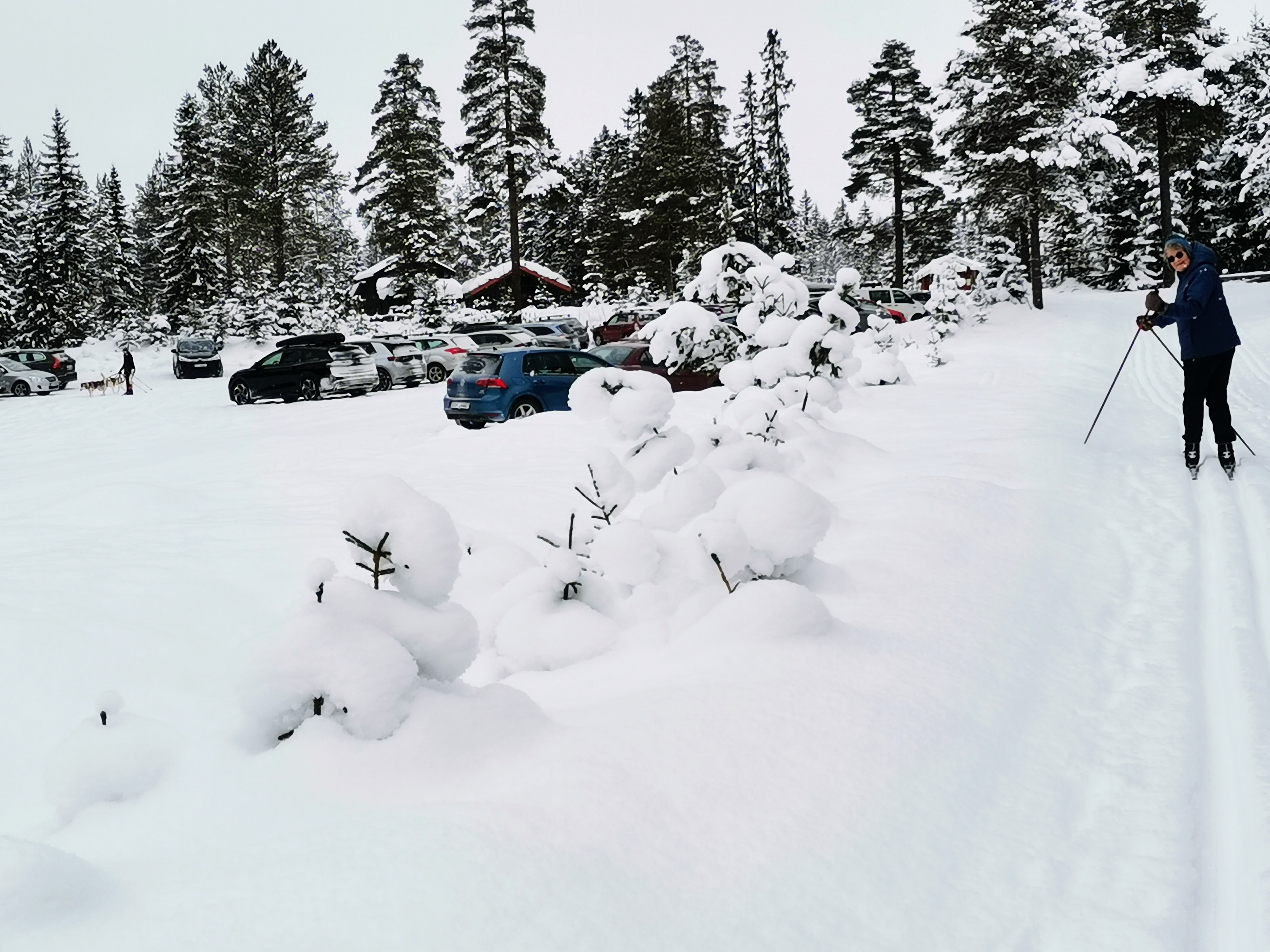 Skil&oslash;per ved siden av parkeringsplass.