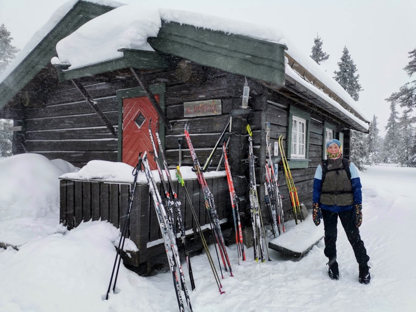 Blåmyrskoia