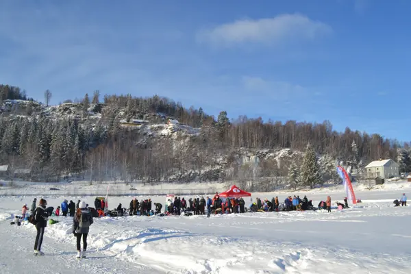Vingnesvika