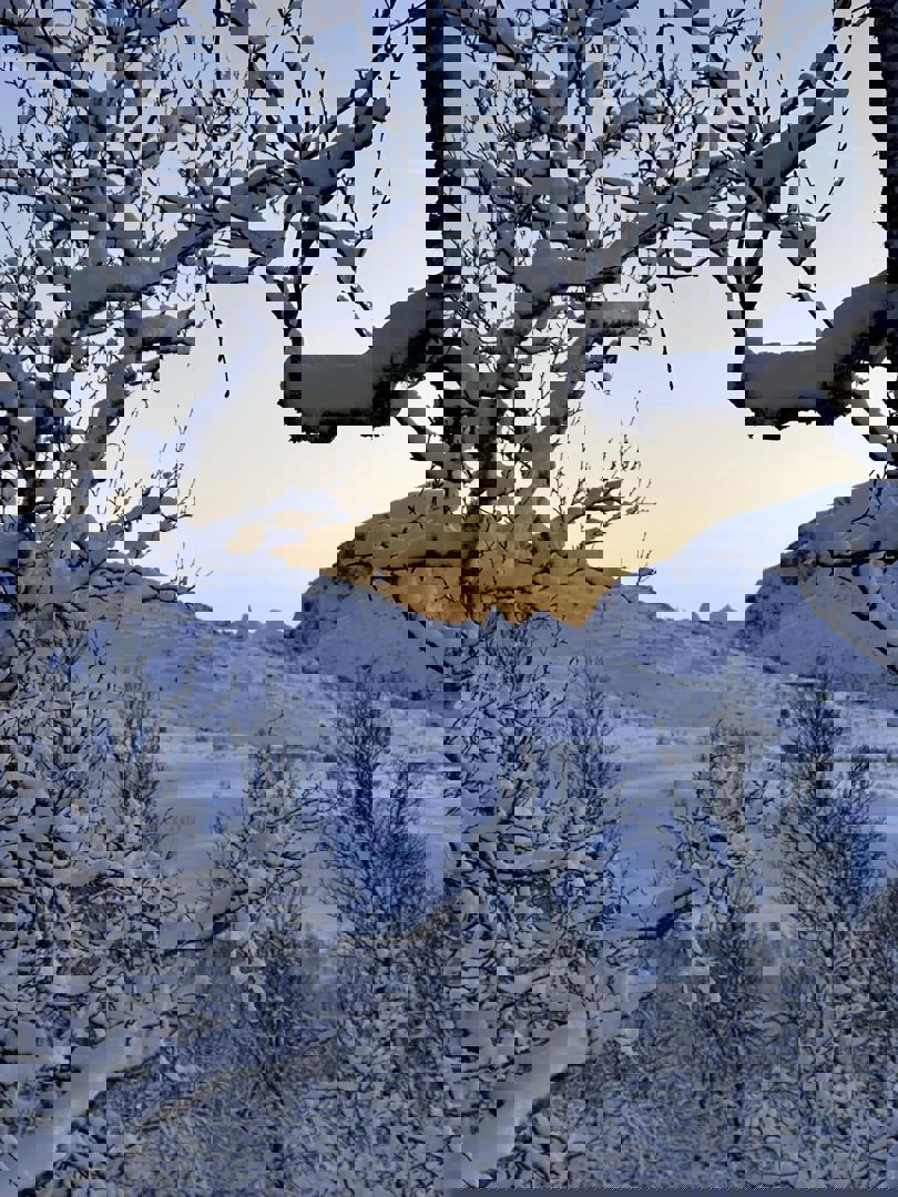 Snødekt landskap