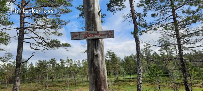 Tenkeplass