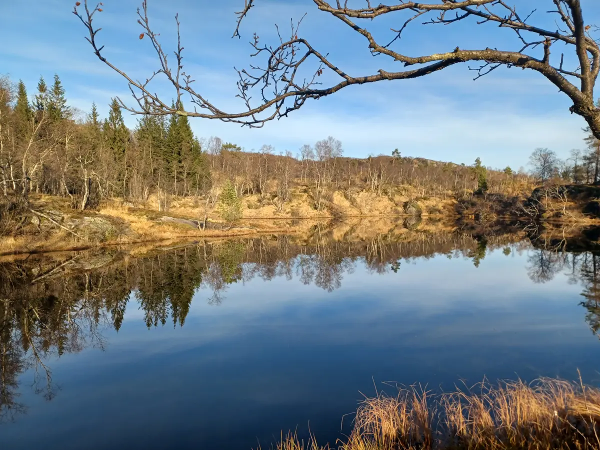 Tjødnane, Brekkeheia