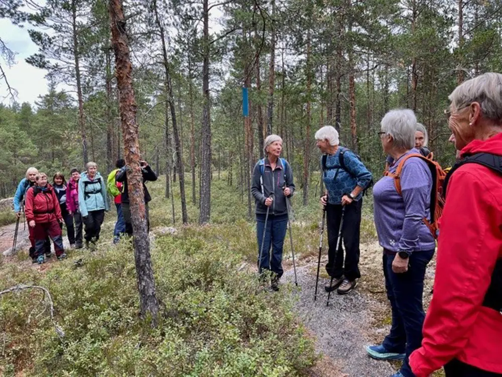 Gruppe med eldre mennesker på tur i regnvær