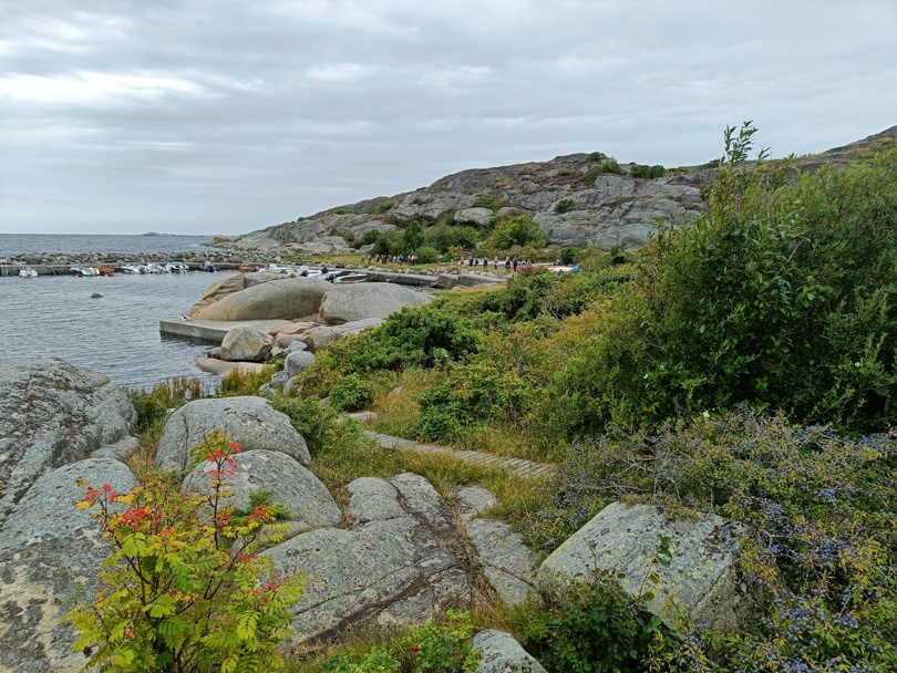 Torås1