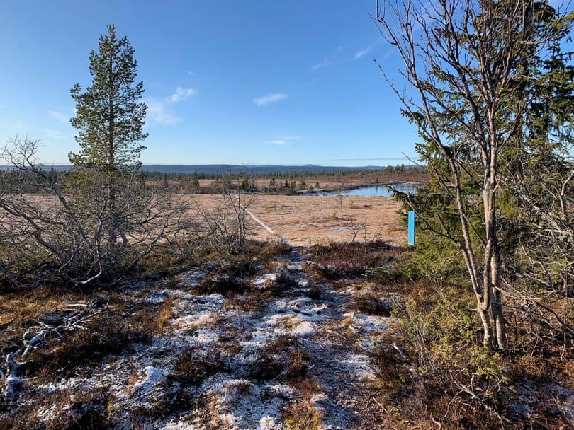 Blåmerket sti på Hedmarksvidda.