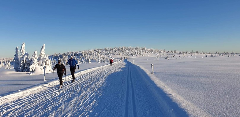 Skiløpere på Stenfjellet.