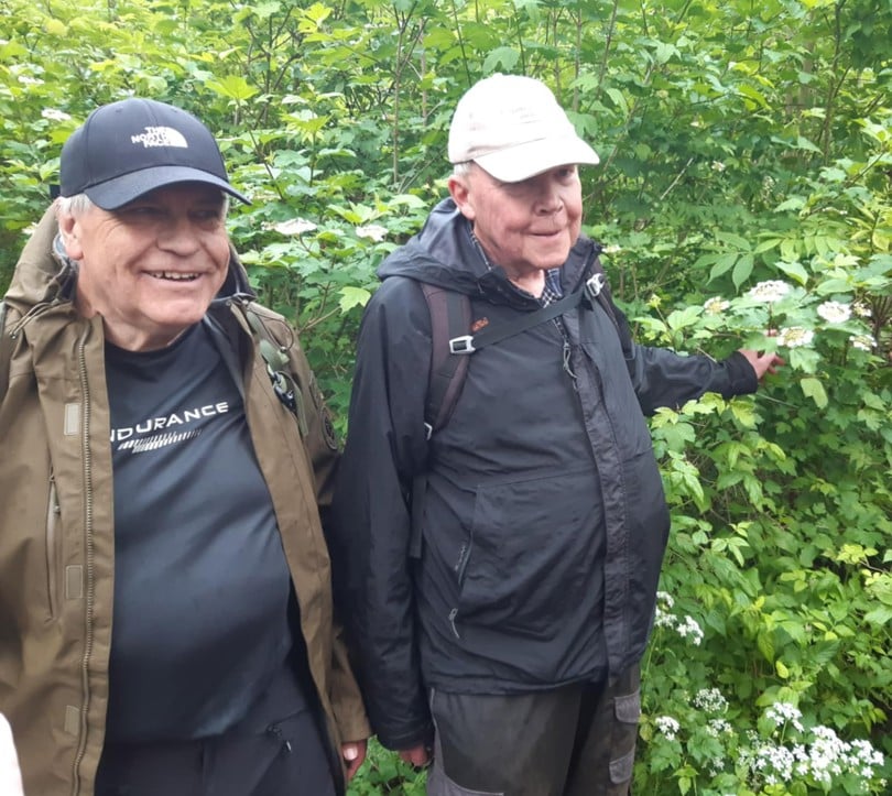 Botanikerne Arvid og Henning