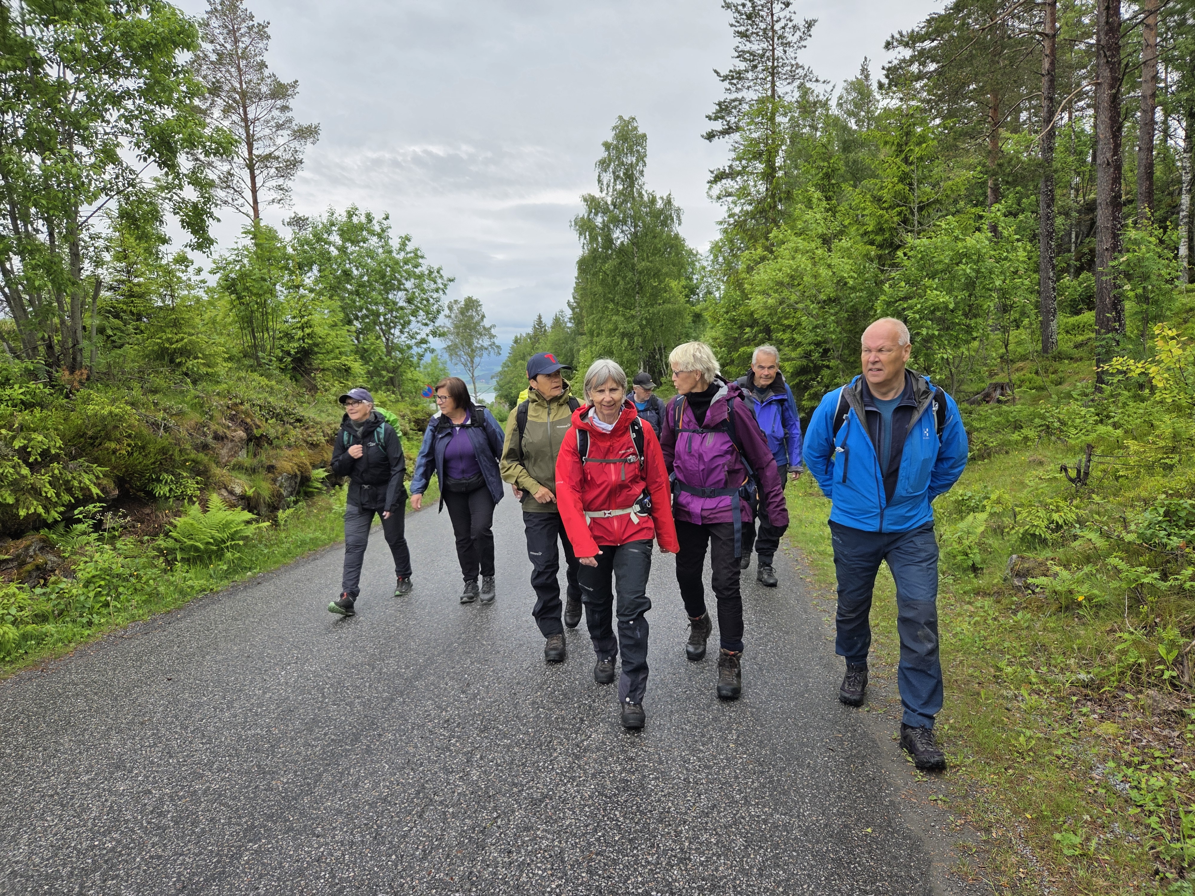 Fra starten ved Kronprinsens utsikt. Foto: Bente Christine Eriksen