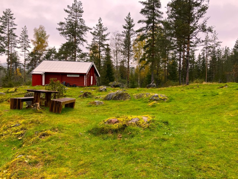 Grønt og fint