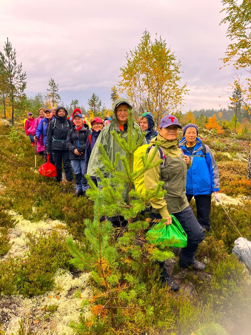 På vei innover